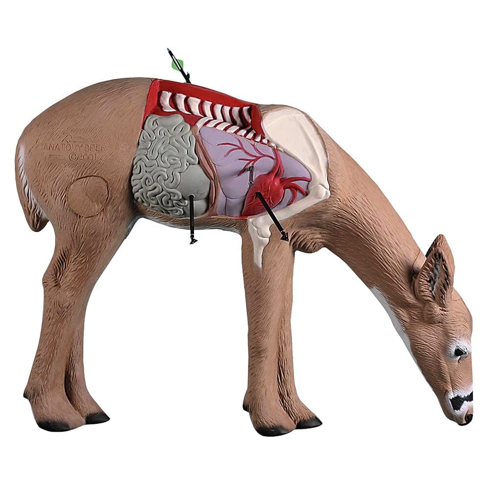 PDP Product Thumbnail