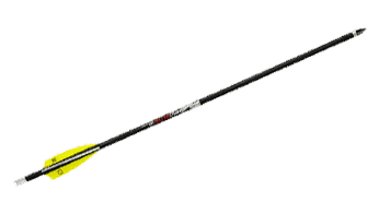 TenPoint Arrows