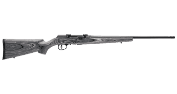 Savage Arms A17