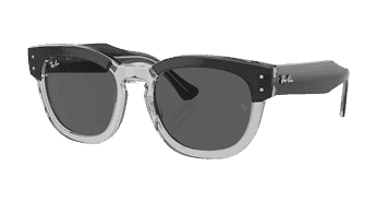Ray-Ban Wayfarer Sunglasses
