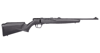 Savage Arms B22